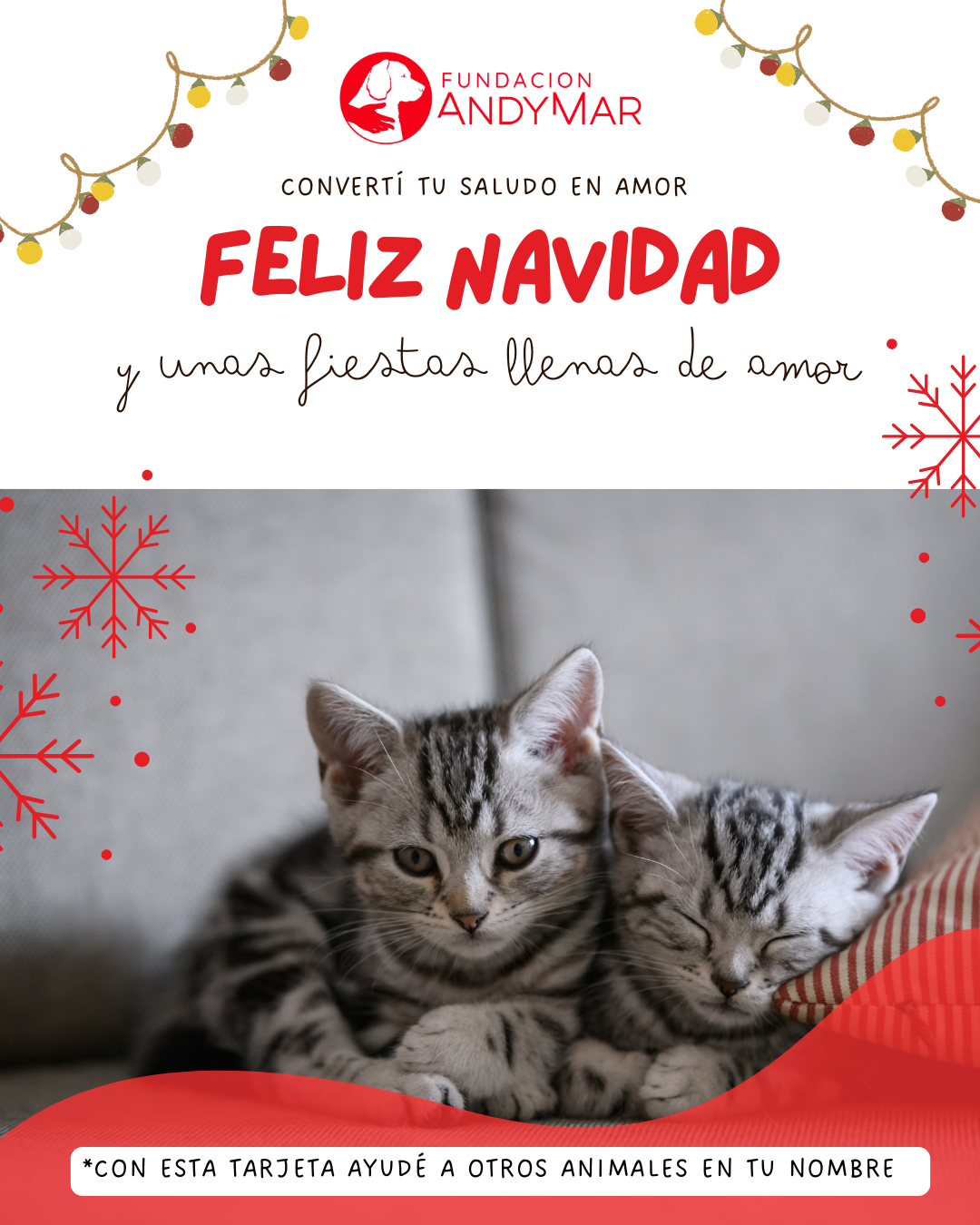 Navidad