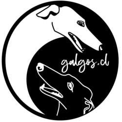 Logo Padrinos para Javier 