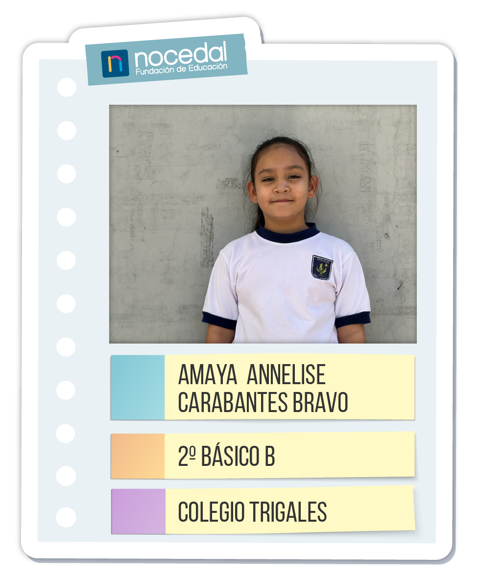 Imagen AMAYA ANNELISE CARABANTES BRAVO