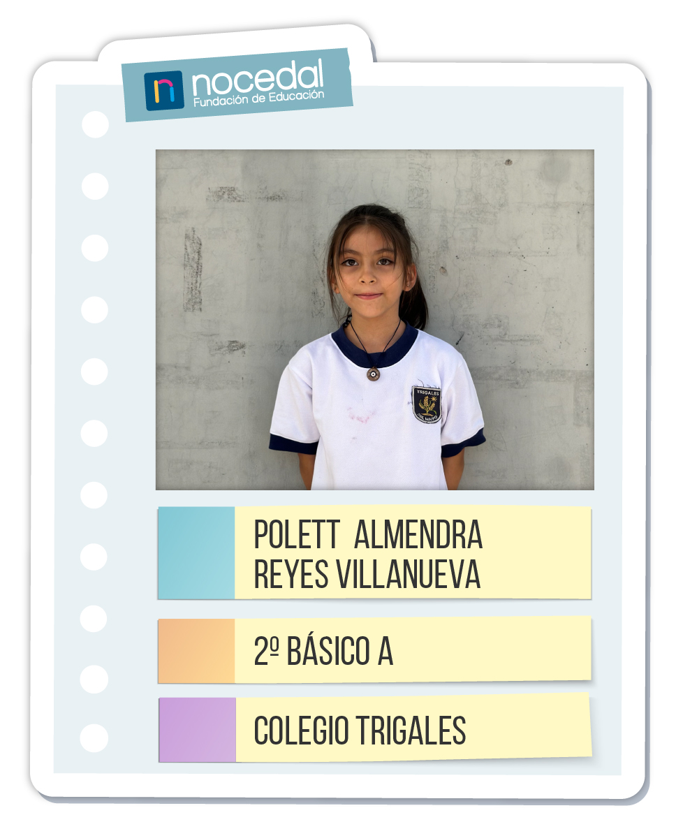 Imagen POLETT ALMENDRA REYES VILLANUEVA