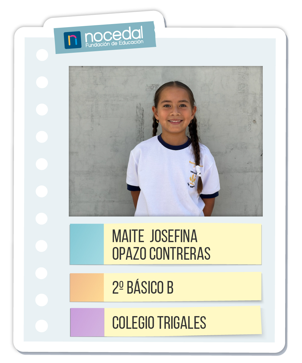 Imagen MAITE JOSEFINA OPAZO CONTRERAS