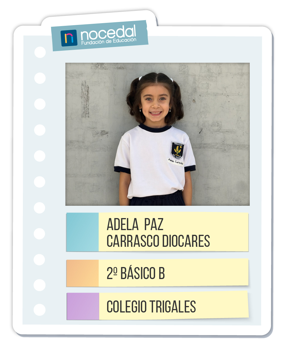 Imagen ADELA PAZ CARRASCO DIOCARES