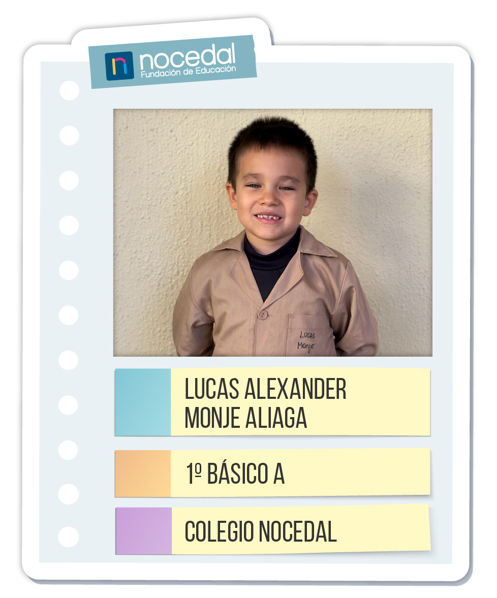 Imagen LUCAS ALEXANDER MONJE ALIAGA