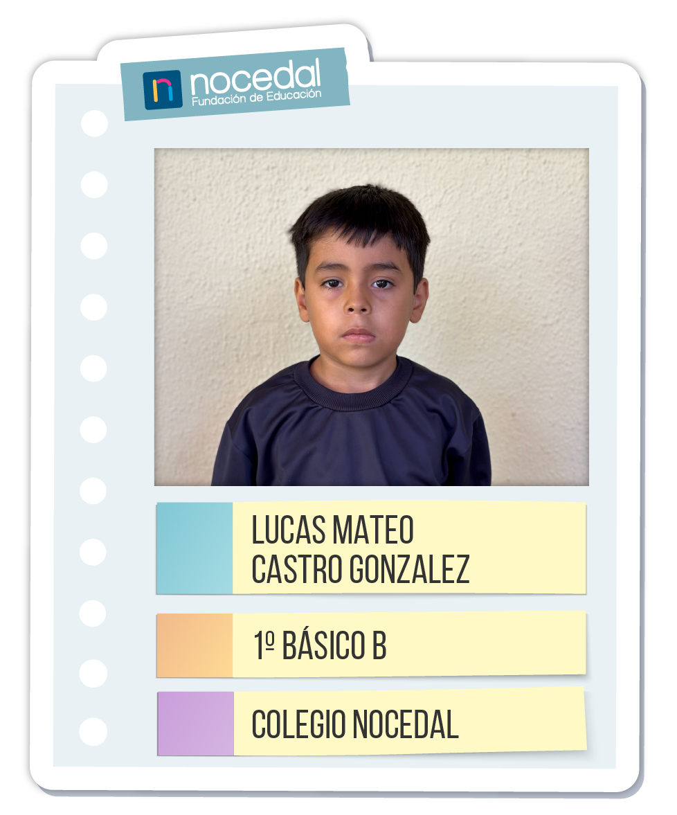 Imagen LUCAS MATEO CASTRO GONZALEZ