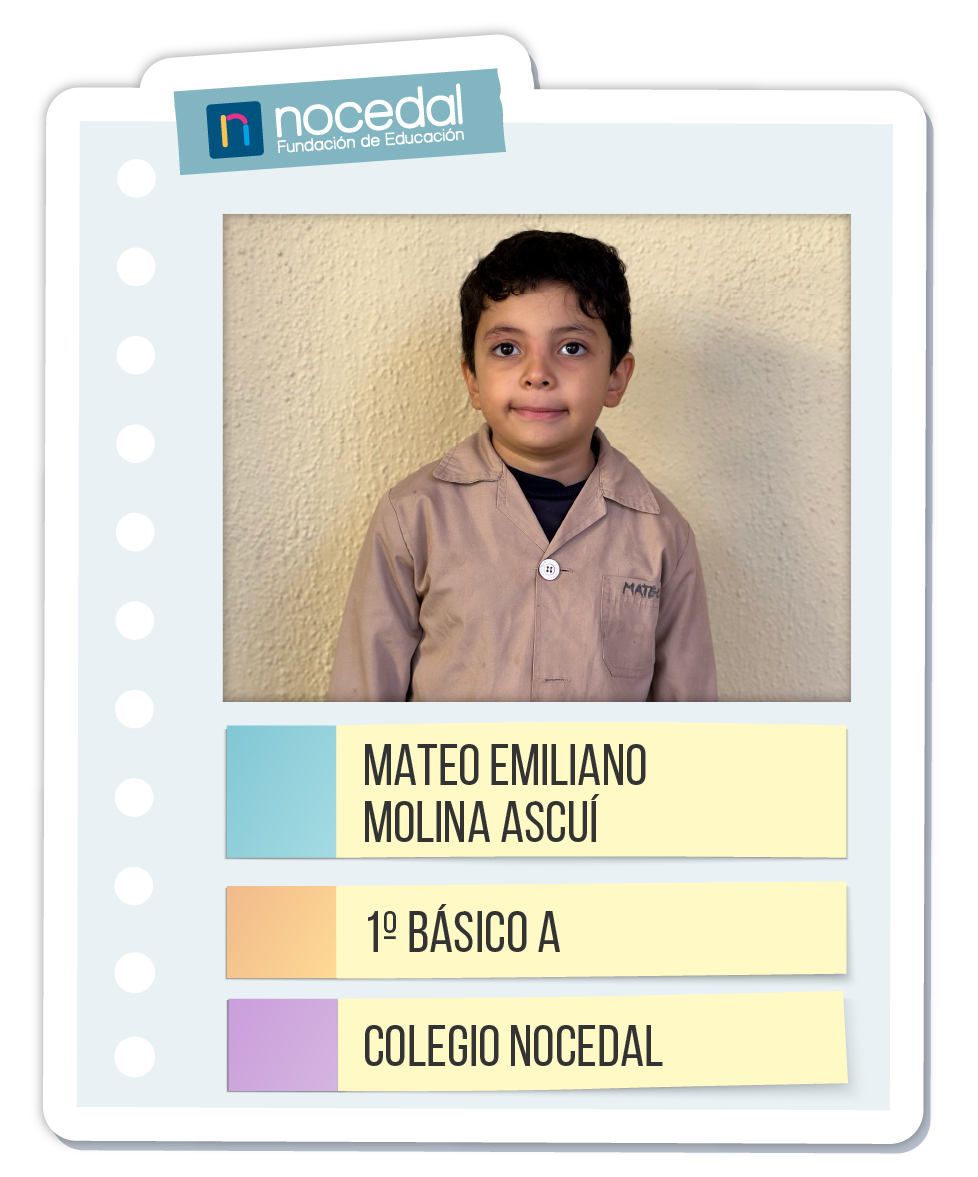 Imagen MATEO EMILIANO MOLINA ASCUÍ