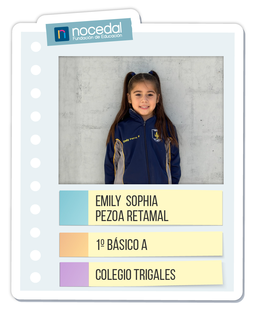 Imagen EMILY SOPHIA PEZOA RETAMAL