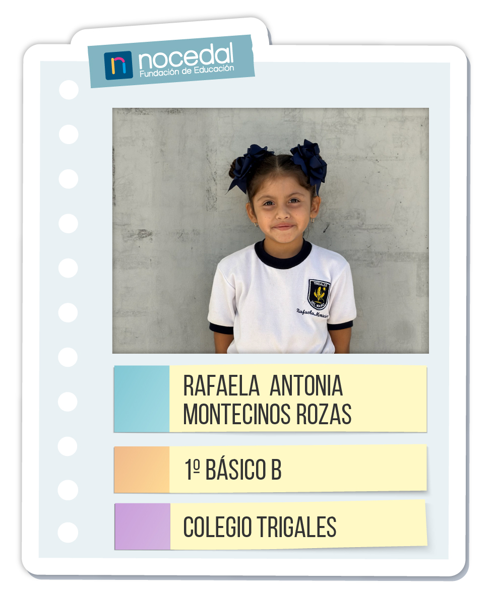 Imagen RAFAELA ANTONIA MONTECINOS ROZAS