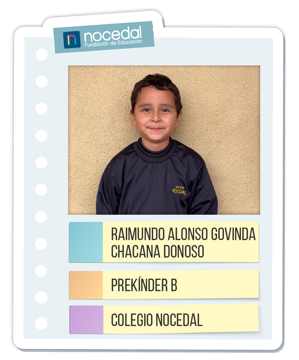 Imagen RAIMUNDO ALONSO GOVINDA CHACANA DONOSO