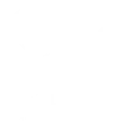 Logo Rifa Complementa 2026