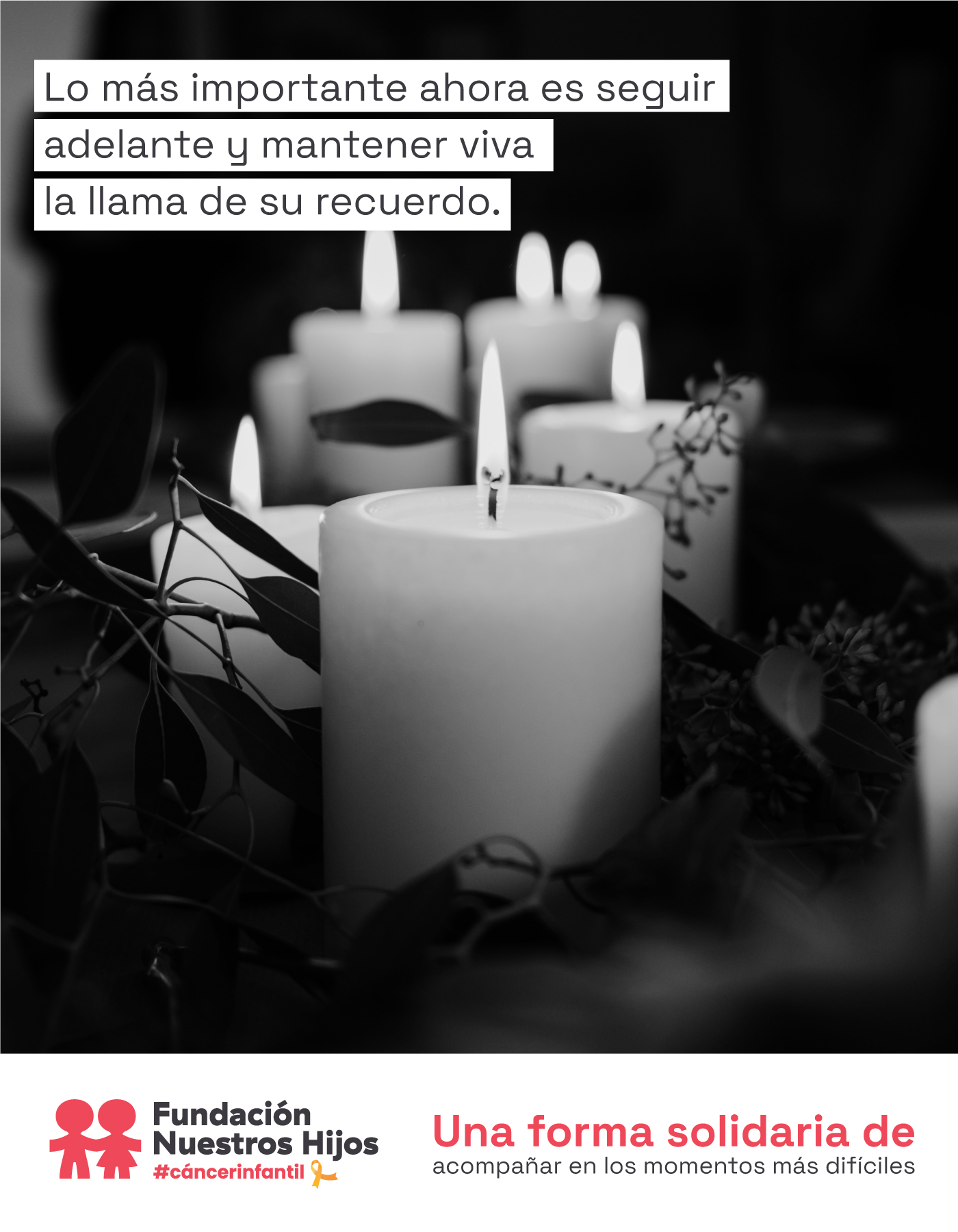 Tarjeta - En Memoria