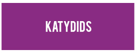 fundraising katydids link