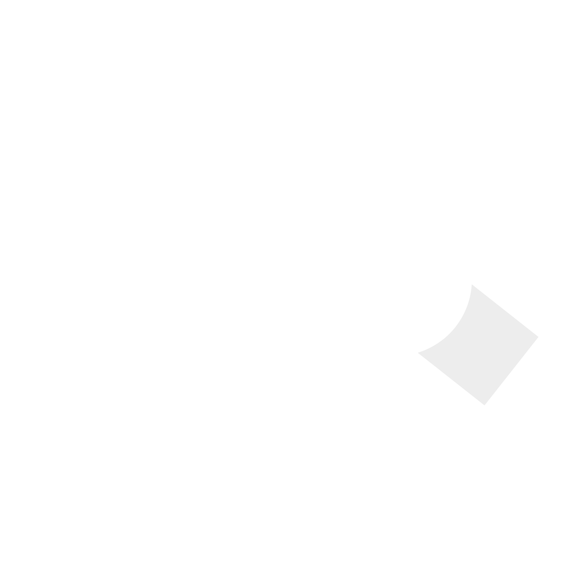 SLC Passport Photo