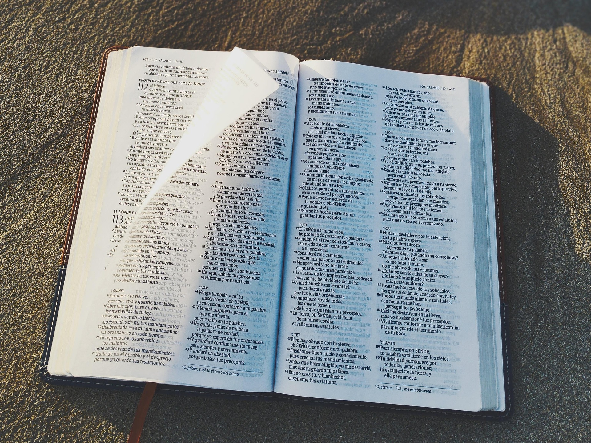 How to Study the Bible