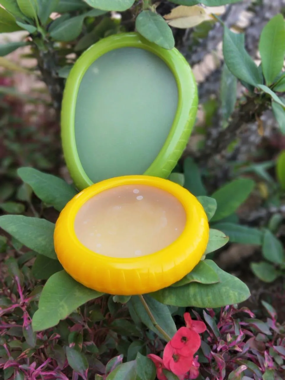 Reusable avocado and produce saver containers for storing cut fruits and vegetables Reusable avocado and produce saver containers for storing cut fruits and vegetables
