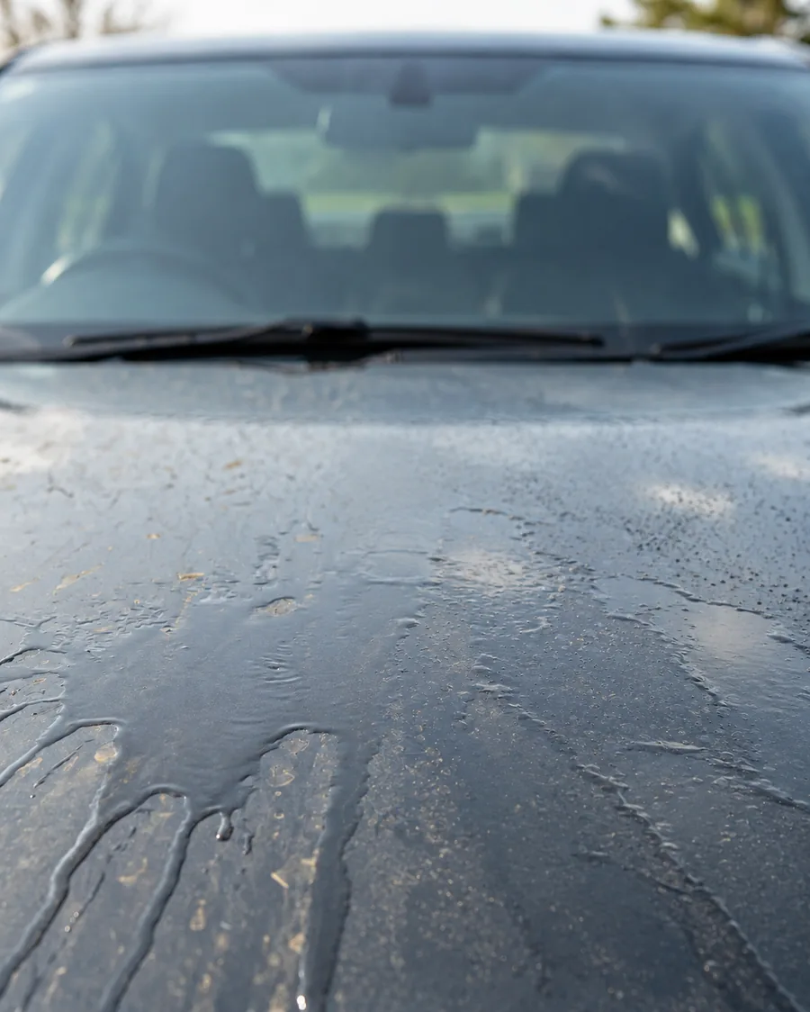 Car hood before Nexgen Ceramic Spray