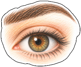 Flashcard Image