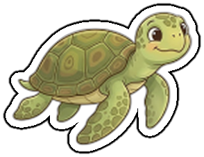 Flashcard Image