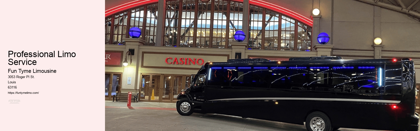Professional Limo Service