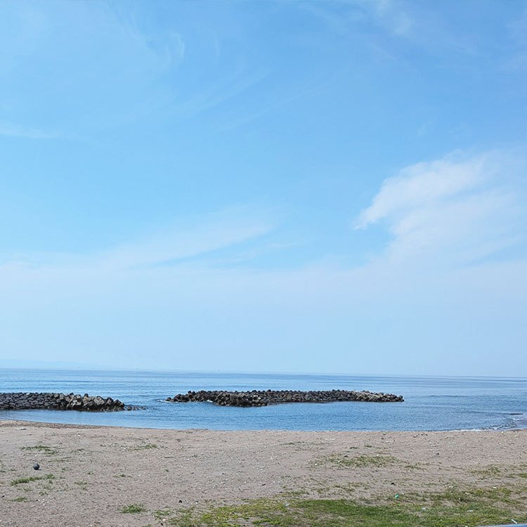 🐚新潟・日本海の貝がら 32個入🐚 大きめ白い貝 ハンダメイド素材