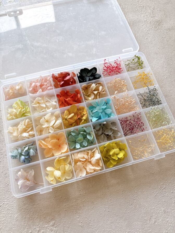 ドライフラワー　花材