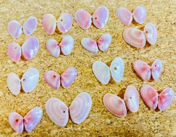 【ハンドメイド素材】桜貝パーツ