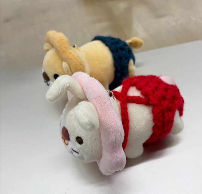 学長ライオンちゃん毛糸の赤パンツ