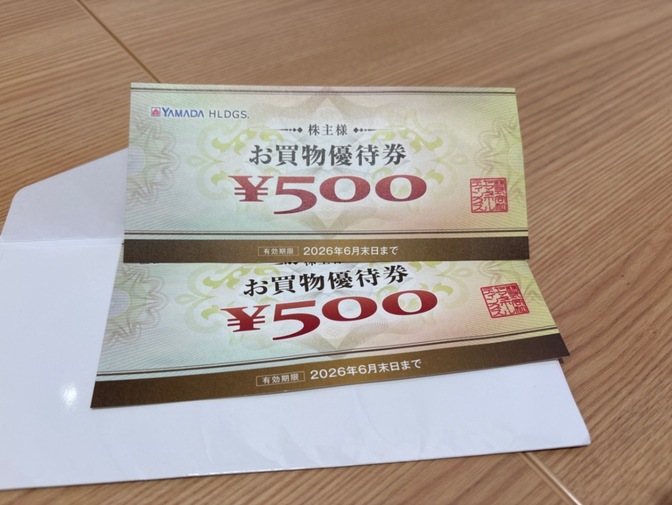 ヤマダ電機　YAMADA HLDGS. お買物優待券 ¥1000円分　ポイント消化