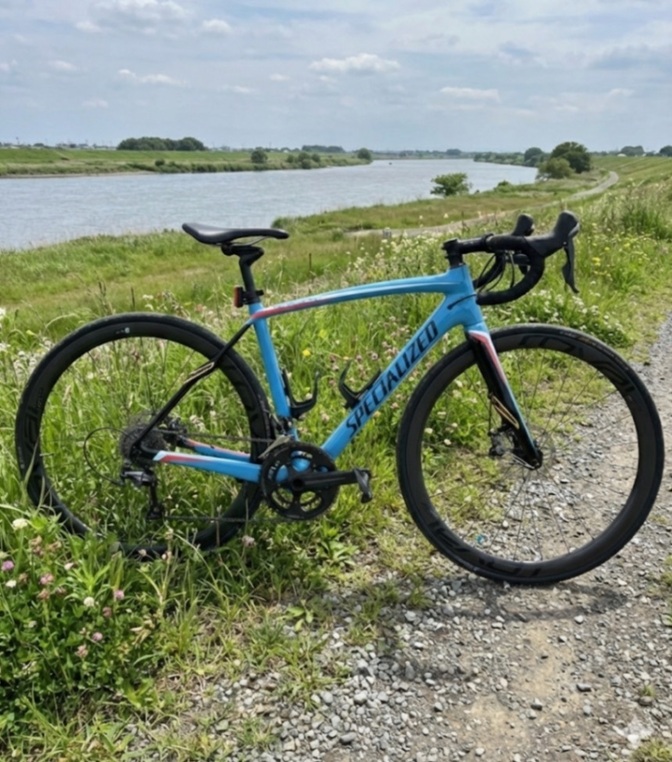 Specialized Roubaix SL4 
