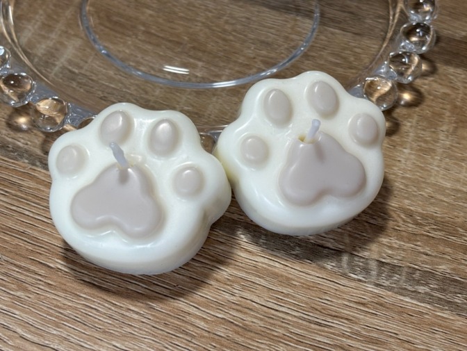 キャンドル❣️
にくきゅう🐾