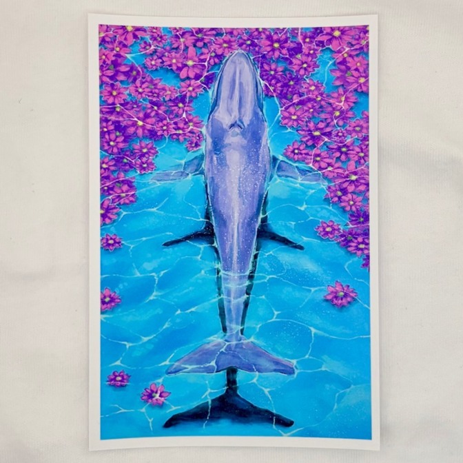 【ハンドメイド】オリジナルイラストアートカード　9月｜シロナガスクジラとコスモス