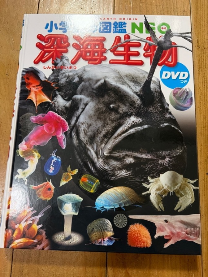 【送料無料】小学館の図鑑NEO 深海生物　絵本