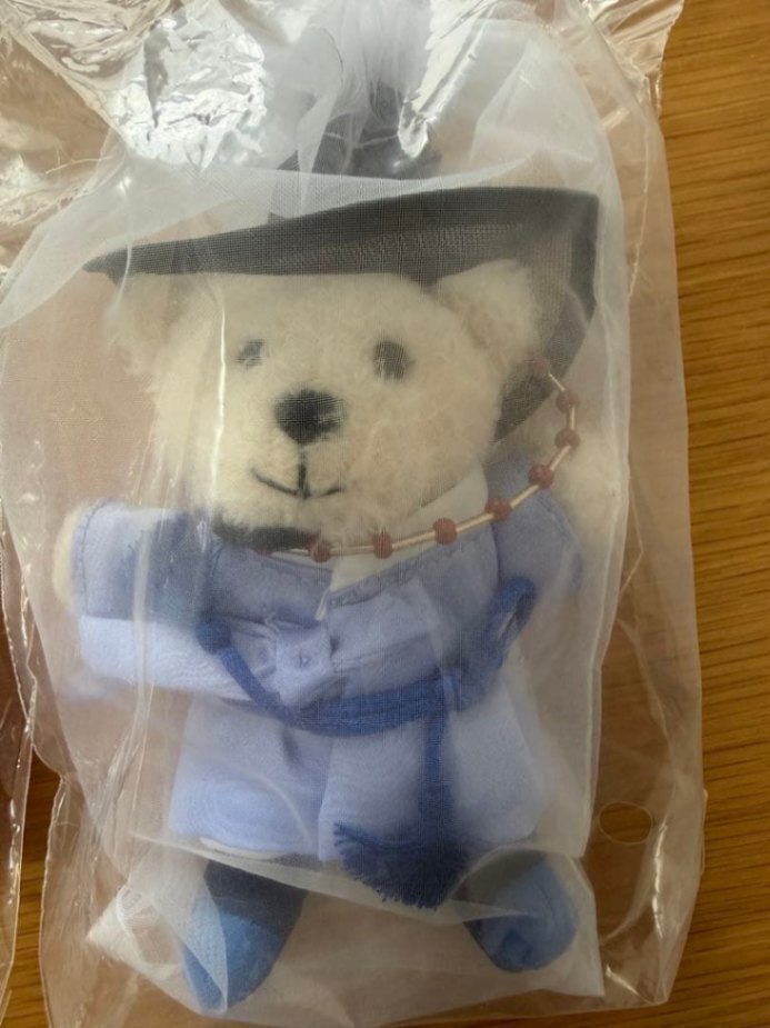 韓国限定】Starbucksクマのぬいぐるみ2体セット（ドレス・スーツ