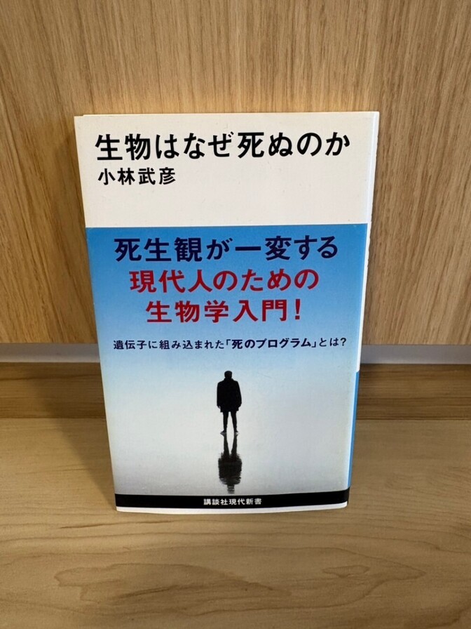 【美品】生物はなぜ死ぬのか 著者：小林武彦 講談社現代新書 生物学・科学