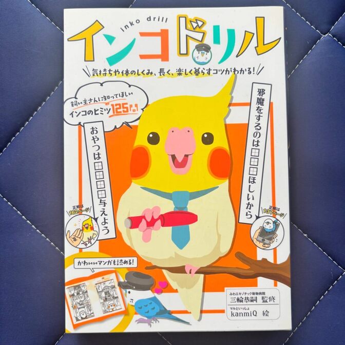 【美品】インコドリル インコの気持ちや体のしくみ、長く楽しく暮らすコツがわかる♪