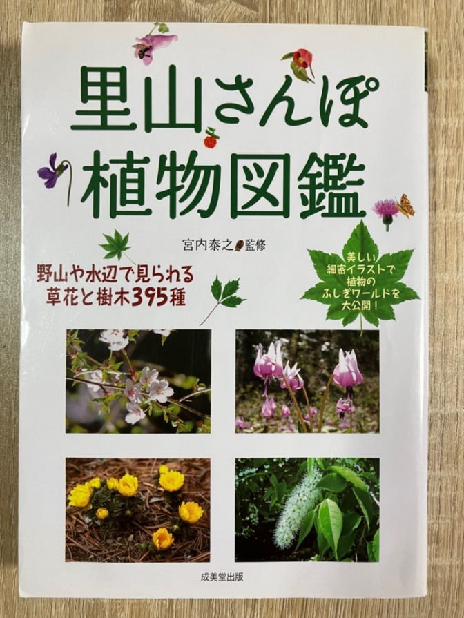 里山さんぽ植物図鑑　※初出品です