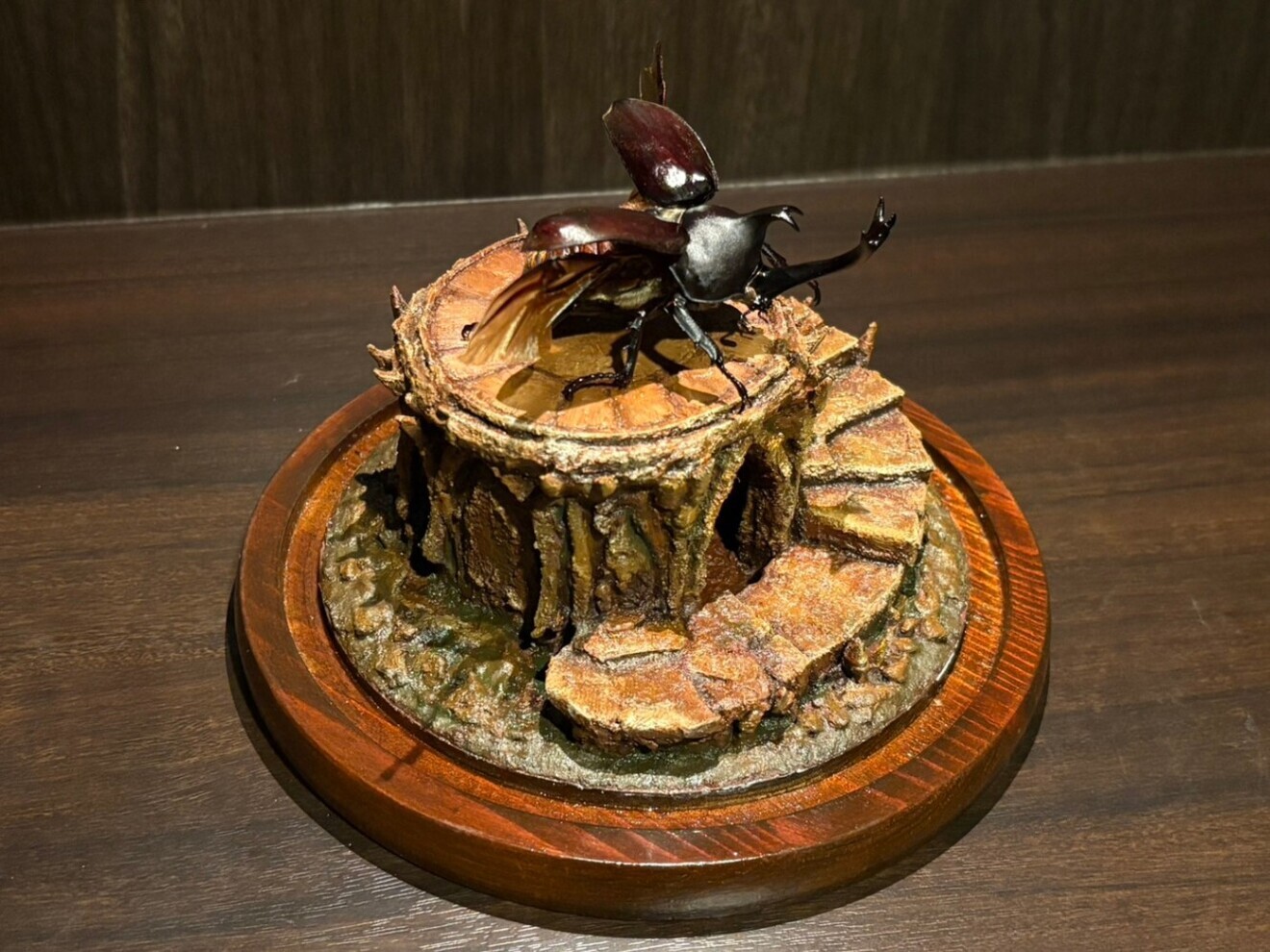 昆虫標本】国産カブトムシのジオラマ標本｜リベシティフリーマーケット