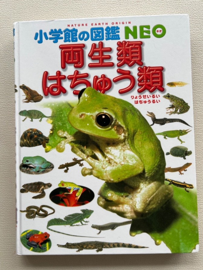 小学館の図鑑　NEO『両生類・はちゅう類』