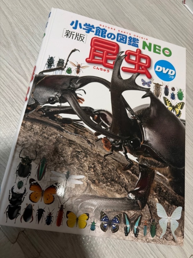 【送料無料】小学館の図鑑NEO 昆虫　絵本