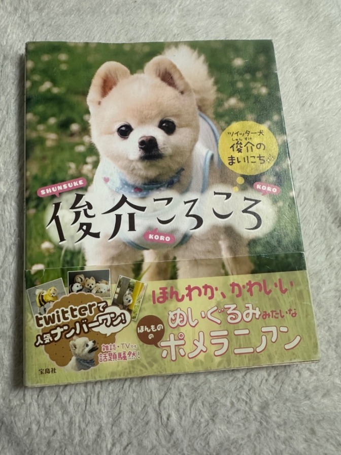 俊介ころころ
ツイッター犬俊介のまいにち