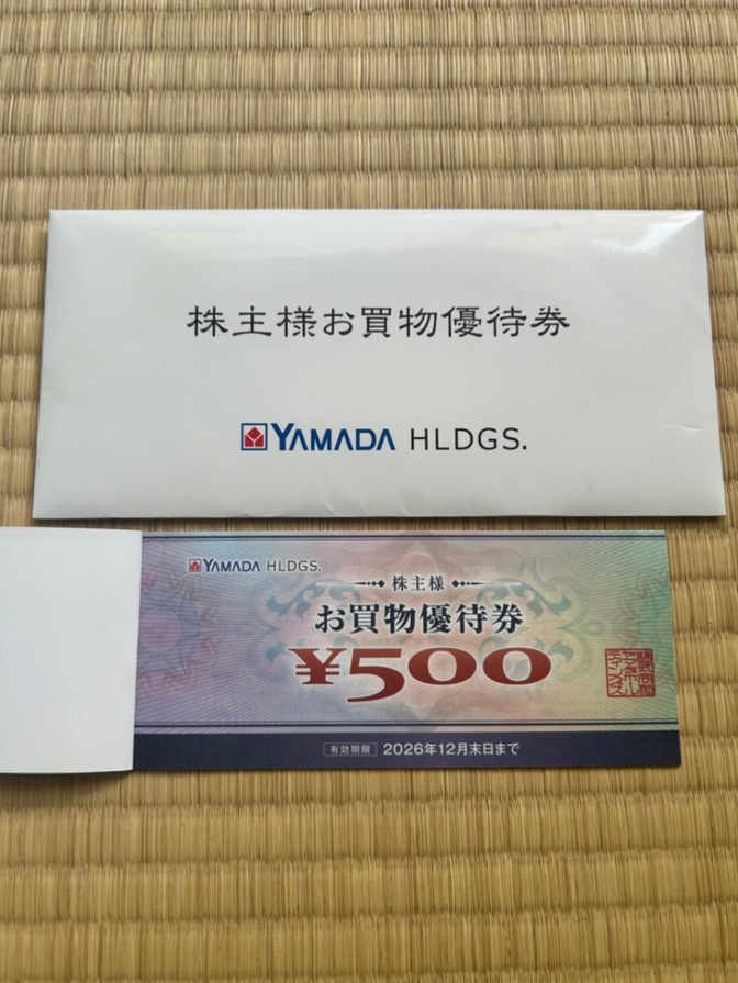 YAMADA HLDGS 株主様お買物優待券 500円券 10枚