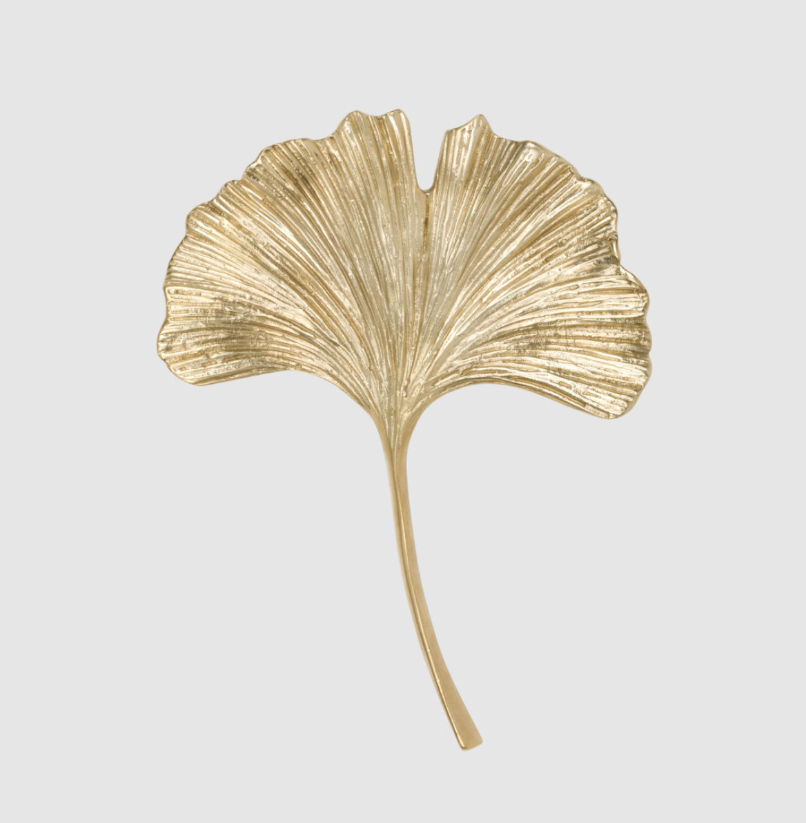 GINKGO handle