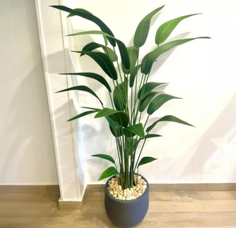 Plant Pot | Industrial Corn Plant