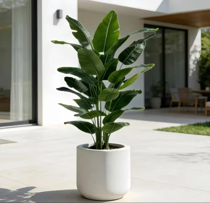 White Artificial Tree | Banana Leaf