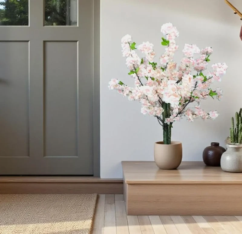 Apricot Tree White Rose | Potted Plant
