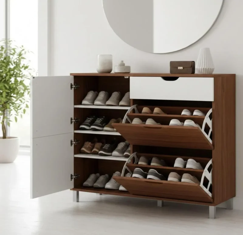 Modern Brown and White Shoes Cabinet