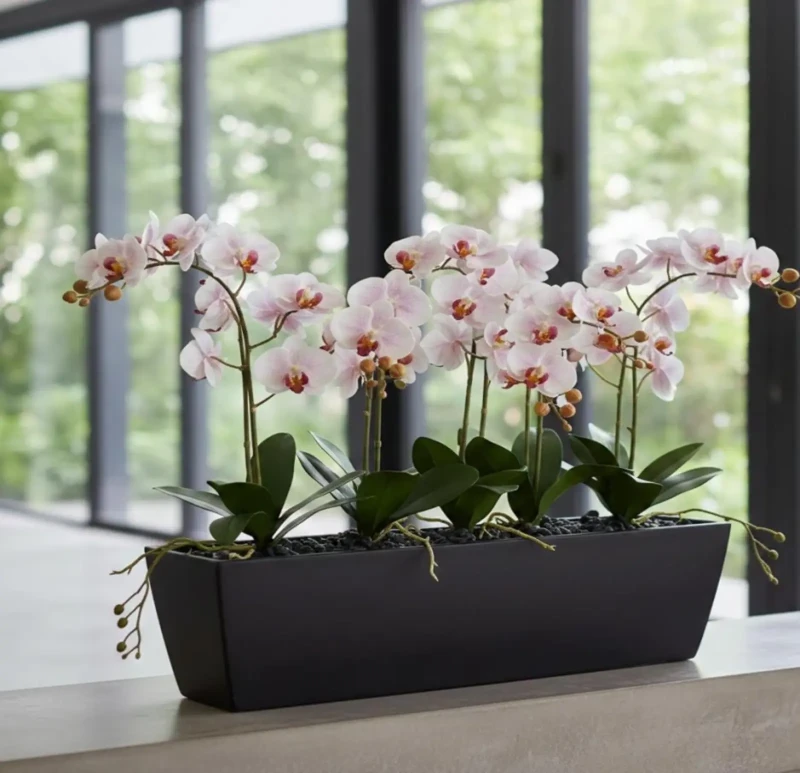 Long Rectangular Pot | Artificial Dendrum Plant