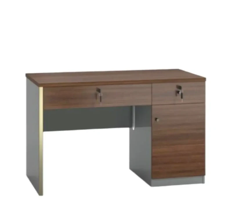 Modern Wooden Desk with 2 Drawers and Storage Space