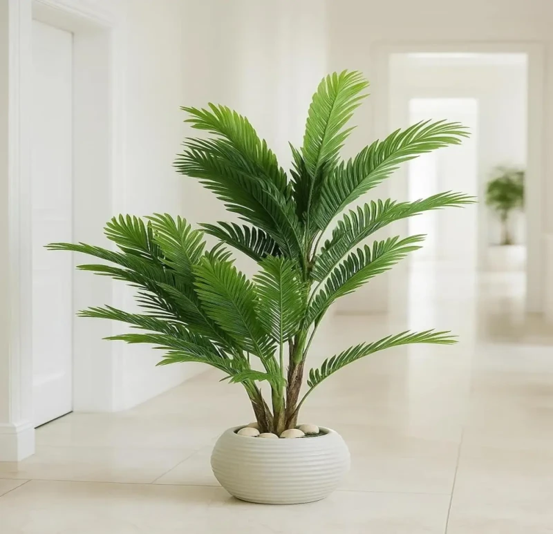 White Plant Pot | Cycas Tree