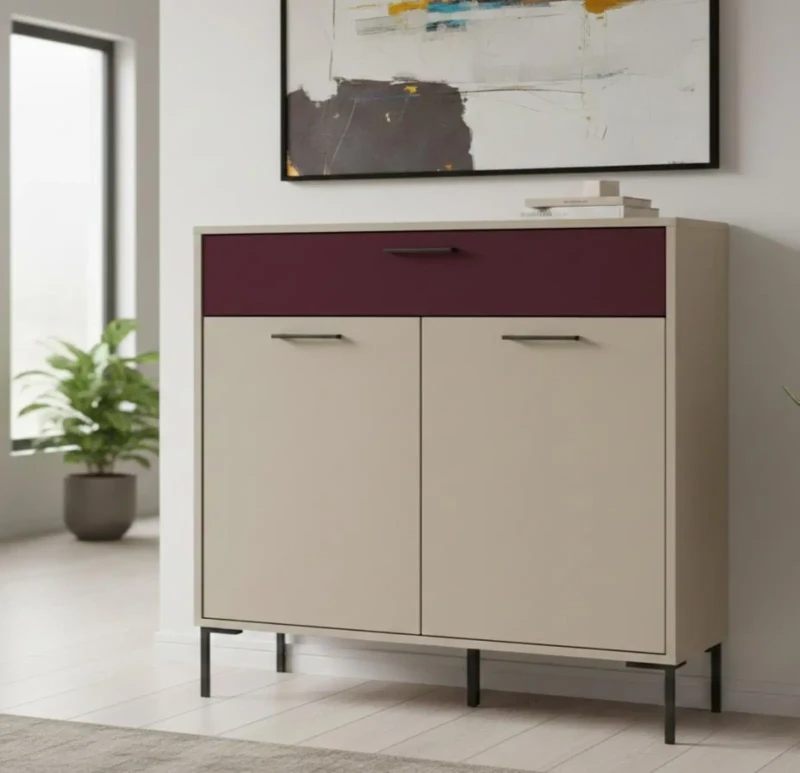Modern Shoe Cabinet with Drawers and 2 Doors | Burgundy and Beige