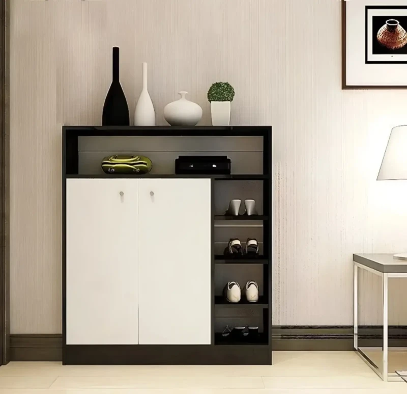 Black and White Modern Shoe Cabinet